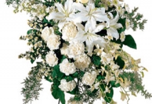 Agentie Funerara Coroane Jerbe Alexandria - Ervin